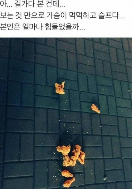 가슴이 먹먹해지는 사진.jpg