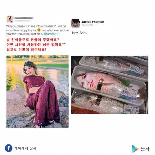 포토샵 해드려요.jpg