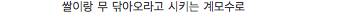 엉성천희.jpg,gif