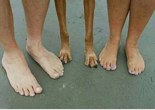 가운데 분이 살을 너무 많이 뺐네요.jpg