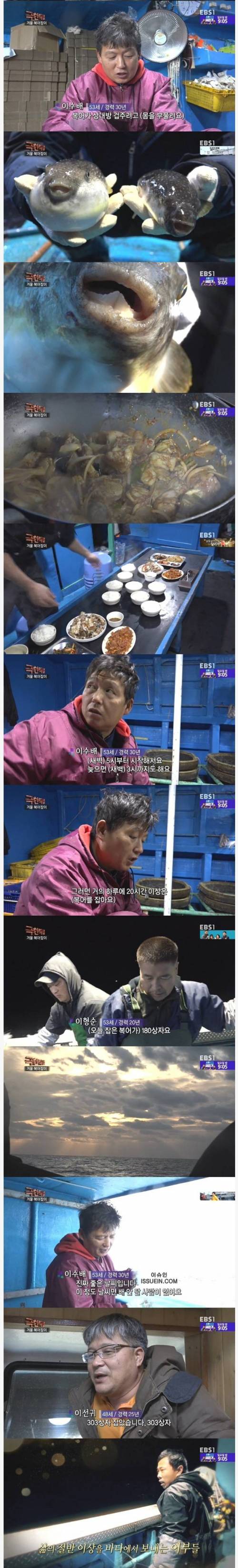 극한직업 겨울 복어잡이.jpg