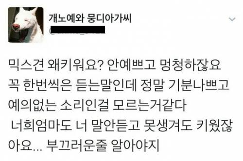 믹스견 안예쁘고 멍청한데 왜 키워요?.jpg