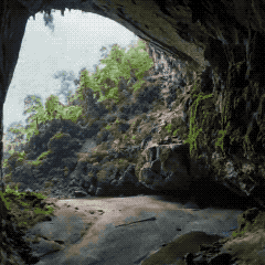 베트남의 흔한 열대폭풍.gif