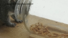 안타까운 손짓.gif