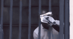 야야야야. 딸수있을거 같은데?.gif