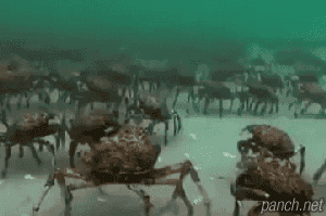 예비군 입소식 풍경.gif