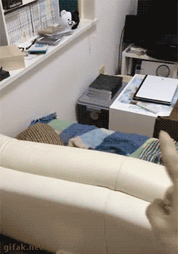 문질러.gif