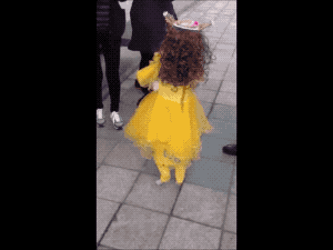 멍뭉이의 패숀.gif