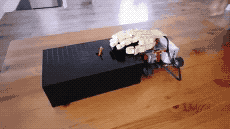 눈치싸움.gif