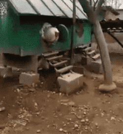 초코보.gif
