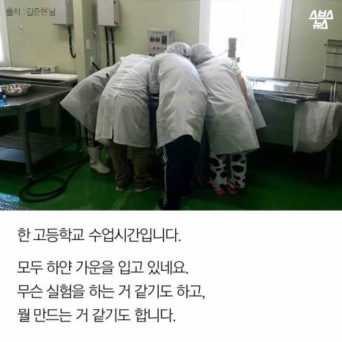 한국 치즈고.jpg