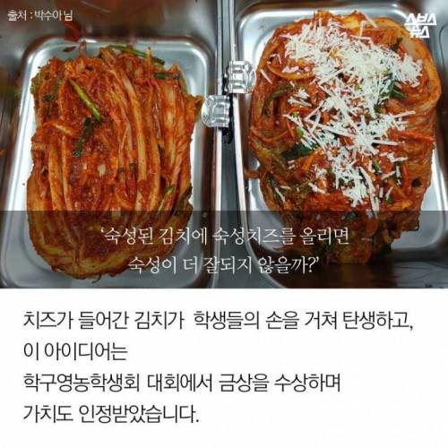 한국 치즈고.jpg