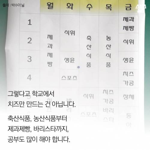 한국 치즈고.jpg