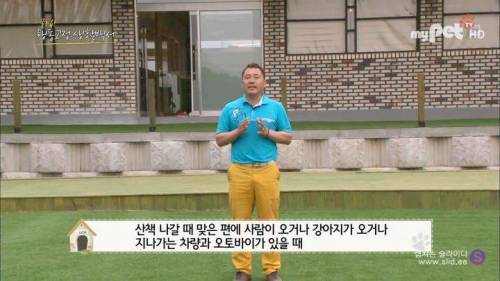 반려견을 망치는 일상 속 잘못된 습관들.jpg