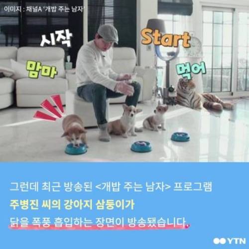 개가 닭뼈 먹으면 죽는다?