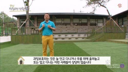 반려견을 망치는 일상 속 잘못된 습관들.jpg