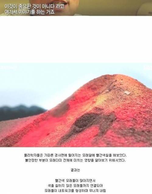 우리의 운명은 정해진 것일까?