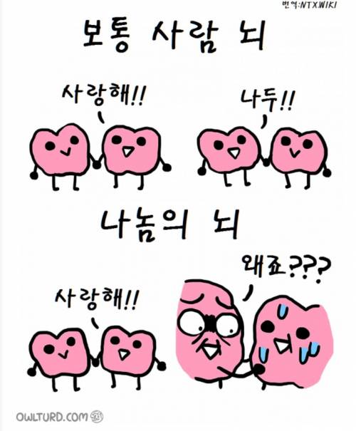 연애 못하는 사람들 뇌구조