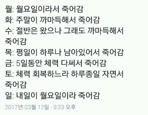일주일동안 죽어가는 이유.twt