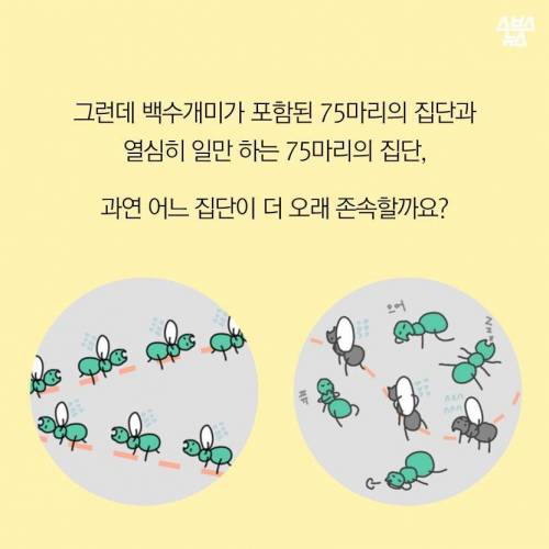 게을러도 괜찮아.jpg