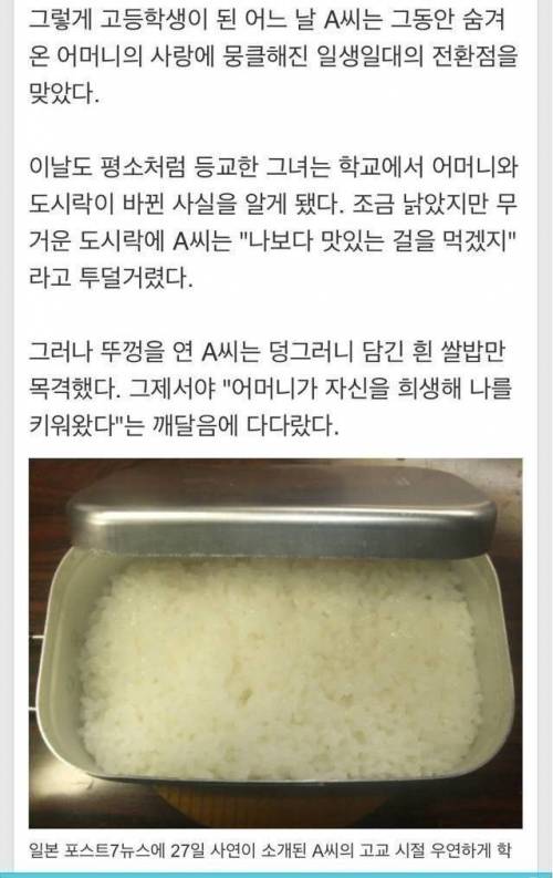 엄마와 뒤바뀐 도시락.jpg