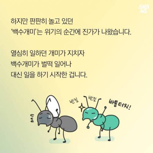 게을러도 괜찮아.jpg