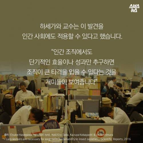 게을러도 괜찮아.jpg