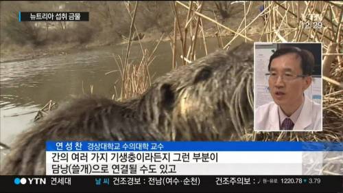 뉴트리아 기적의 기사회생.jpg