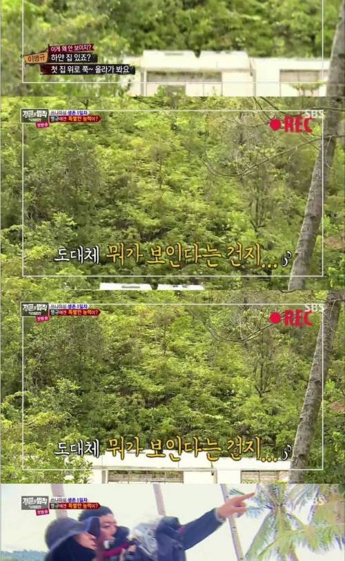 시력 1.5 야구선수의 위엄.jpg