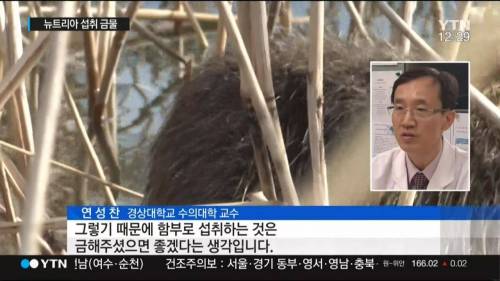 뉴트리아 기적의 기사회생.jpg