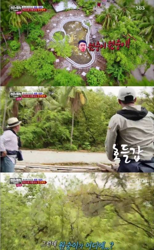 시력 1.5 야구선수의 위엄.jpg