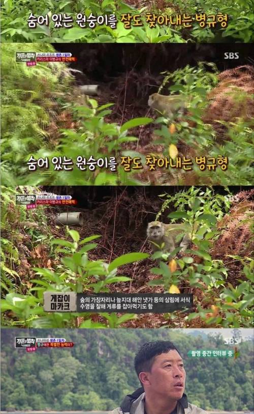 시력 1.5 야구선수의 위엄.jpg