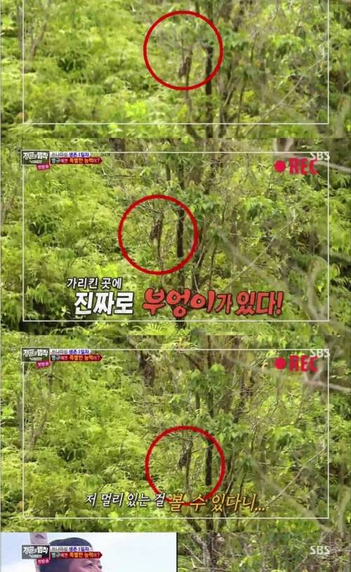 시력 1.5 야구선수의 위엄.jpg