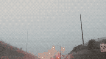 비오는 날 나무 아래 서면 안되는 이유.gif