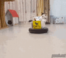 냥카.gif