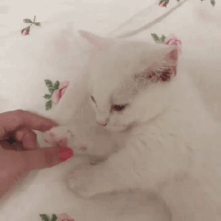 손만 잡고 잘게.gif
