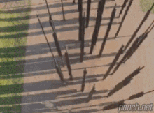 넬슨 만델라 추모 작품.gif