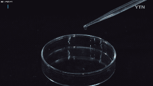 소변 한방울로 10가지 암검사 끝.gif