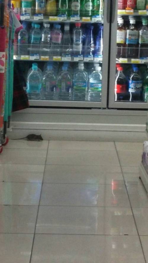 알바 상줘야 함.jpg