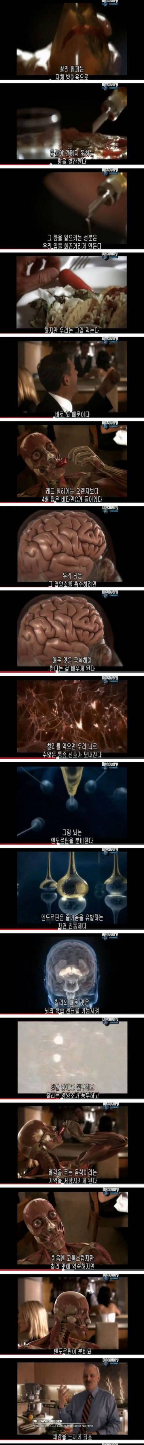 매운 음식을 먹은 뒤 후련한 느낌이 드는 이유