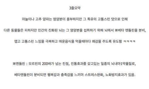 매운 음식을 먹은 뒤 후련한 느낌이 드는 이유
