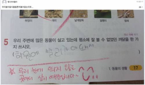 요즘 초딩이 동물을 볼수없는 이유
