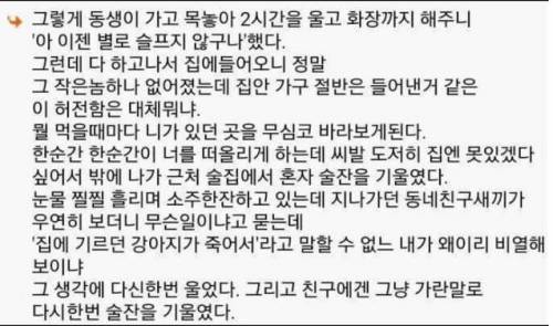 강아지를 키우지 않게 된 이유