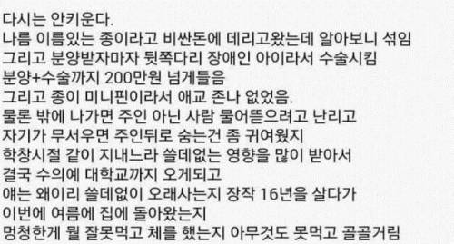 강아지를 키우지 않게 된 이유