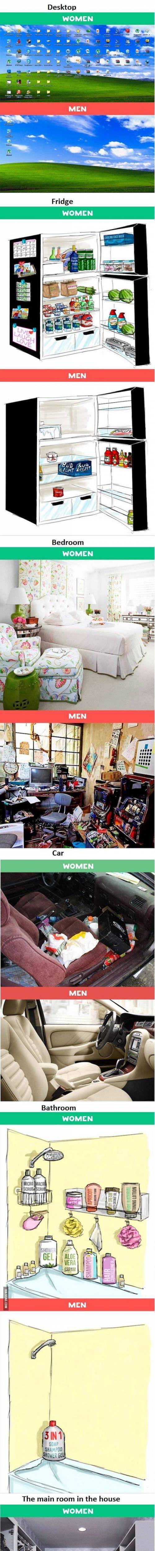 남녀 차이 서양 버전.jpg