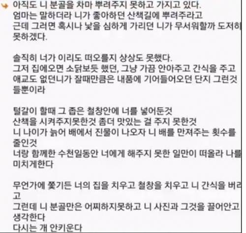 강아지를 키우지 않게 된 이유