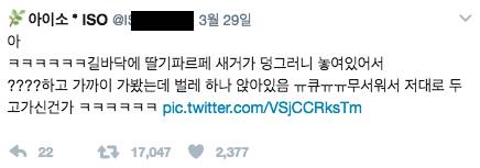 길바닥에 딸기파르페가