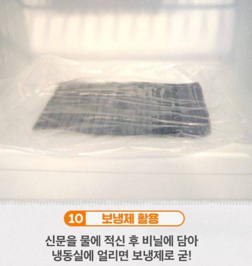 신문지가 이렇게 만능템이었나?