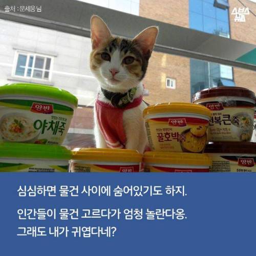백수에서 점장으로.jpg