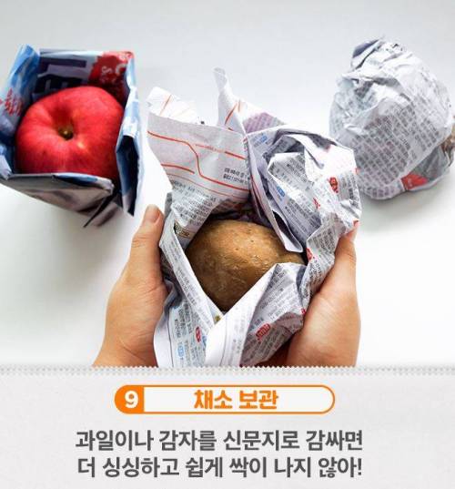 신문지가 이렇게 만능템이었나?